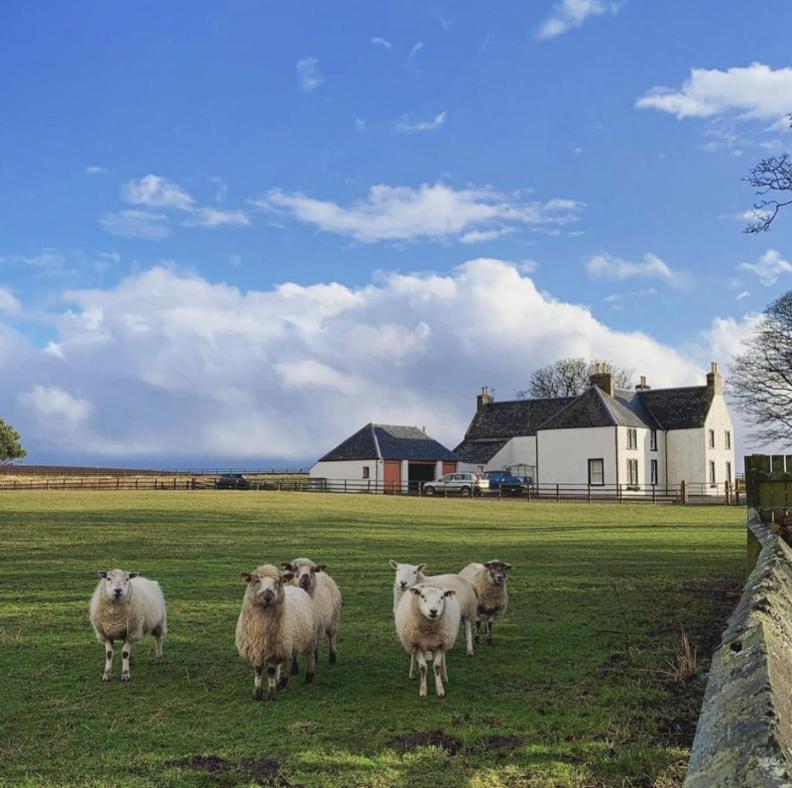 Tarrel Farmhouse Portmahomack Exterior foto